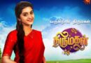 Thirumagal Serial Cast